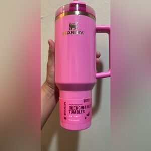 Stanley wicked glinda